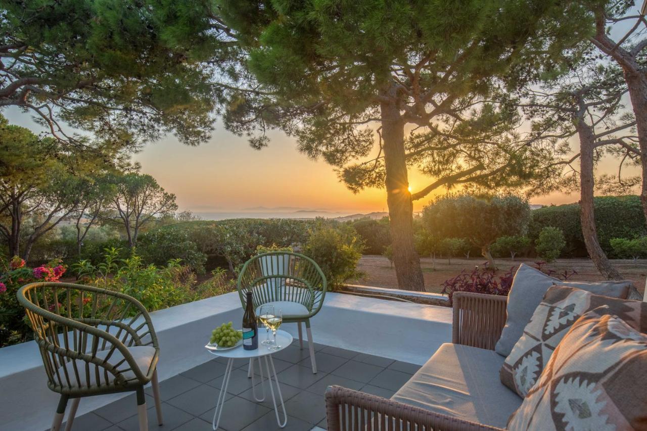 Villa Oasis With Large Pool Athenian Riviera Lagonissi 拉格尼西 外观 照片