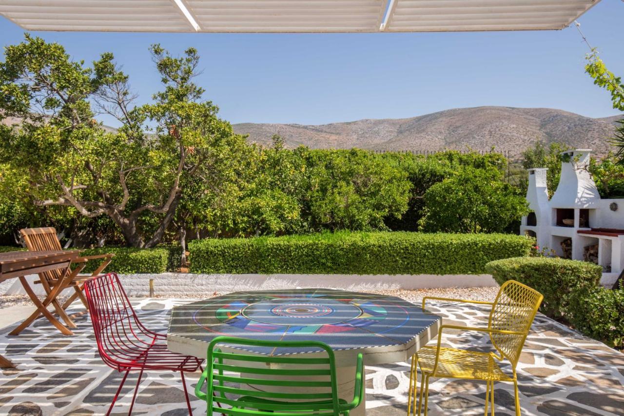 Villa Oasis With Large Pool Athenian Riviera Lagonissi 拉格尼西 外观 照片