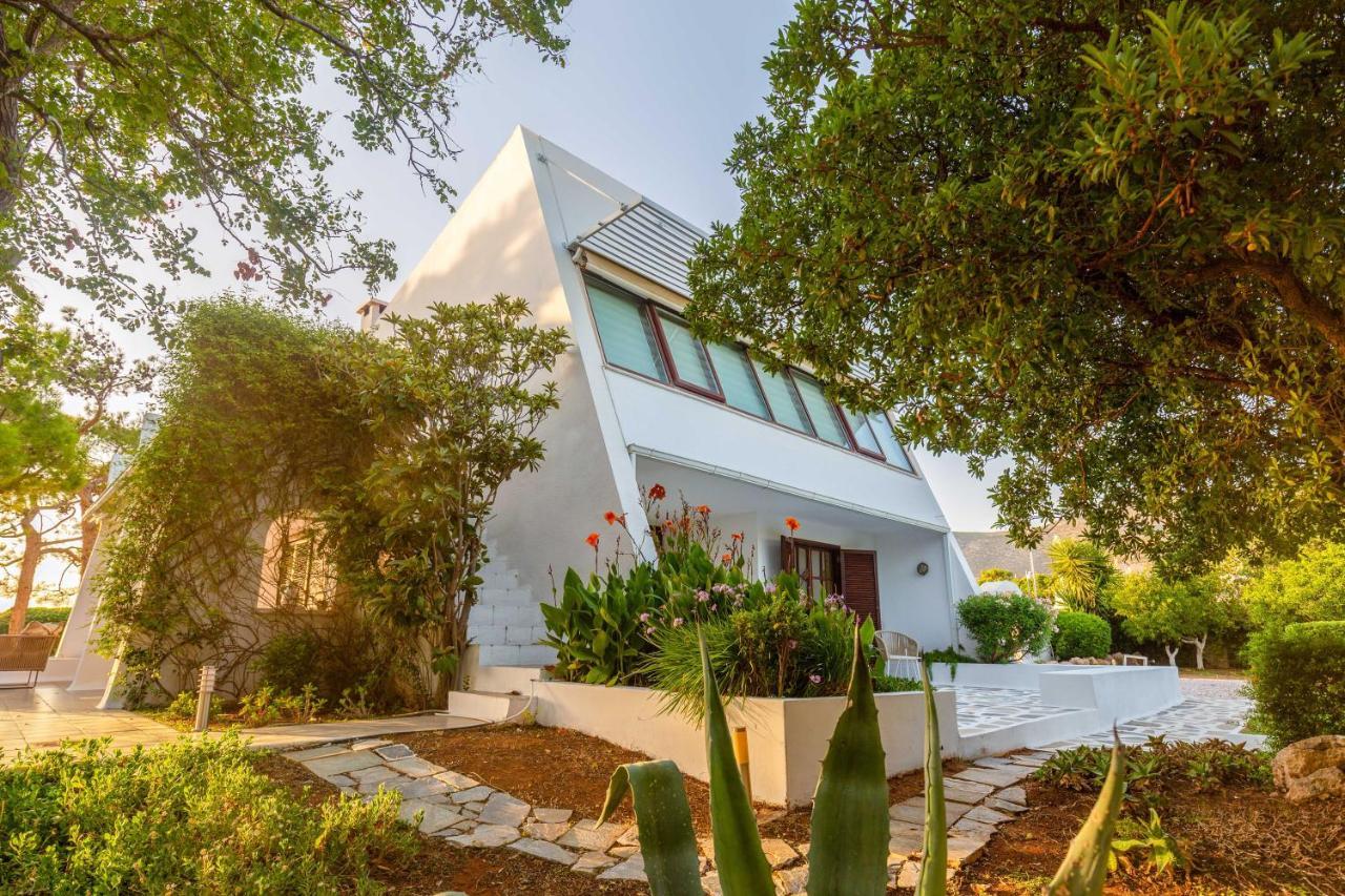 Villa Oasis With Large Pool Athenian Riviera Lagonissi 拉格尼西 外观 照片