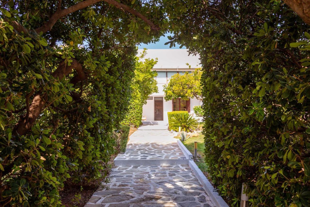 Villa Oasis With Large Pool Athenian Riviera Lagonissi 拉格尼西 外观 照片