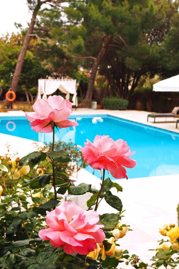 Villa Oasis With Large Pool Athenian Riviera Lagonissi 拉格尼西 外观 照片