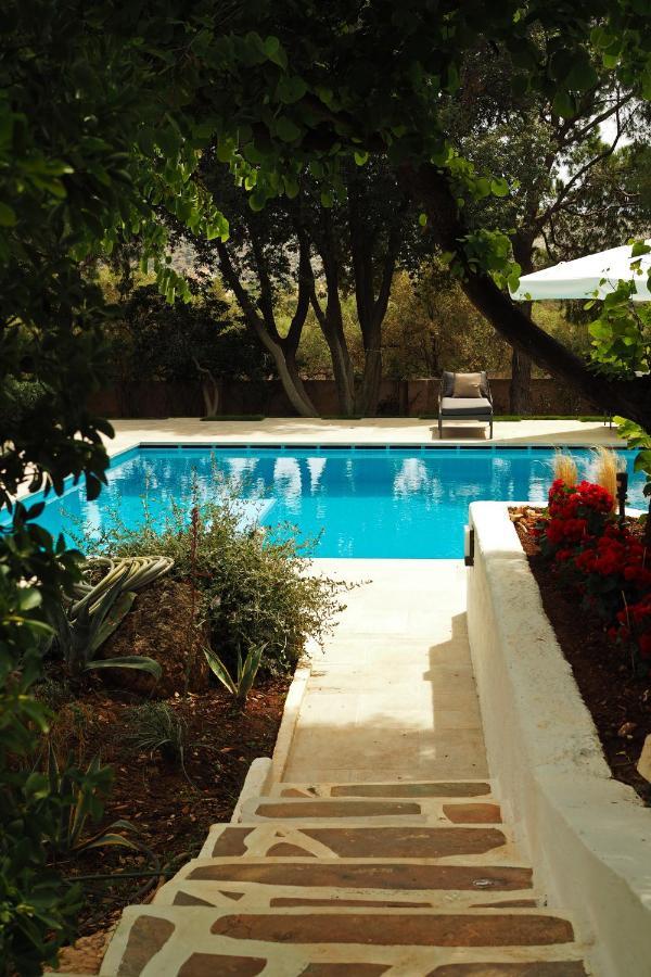 Villa Oasis With Large Pool Athenian Riviera Lagonissi 拉格尼西 外观 照片