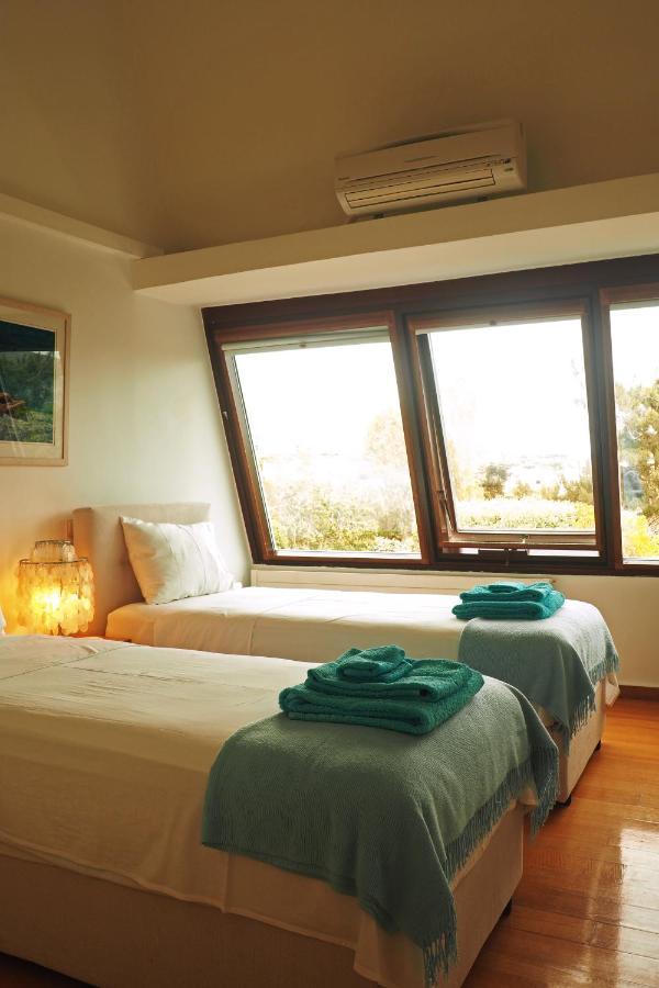 Villa Oasis With Large Pool Athenian Riviera Lagonissi 拉格尼西 外观 照片