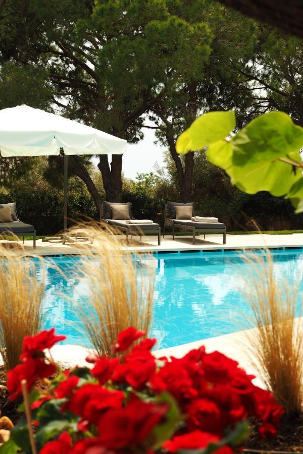 Villa Oasis With Large Pool Athenian Riviera Lagonissi 拉格尼西 外观 照片