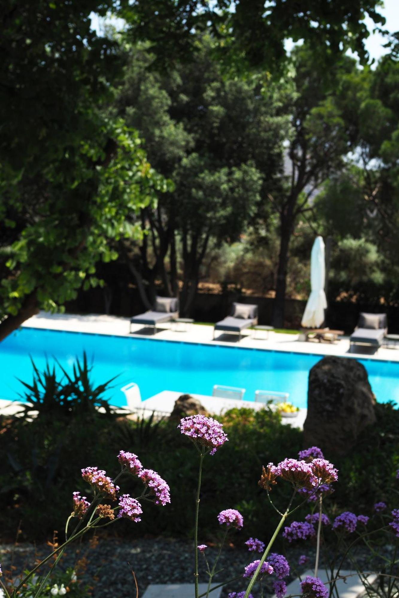 Villa Oasis With Large Pool Athenian Riviera Lagonissi 拉格尼西 外观 照片